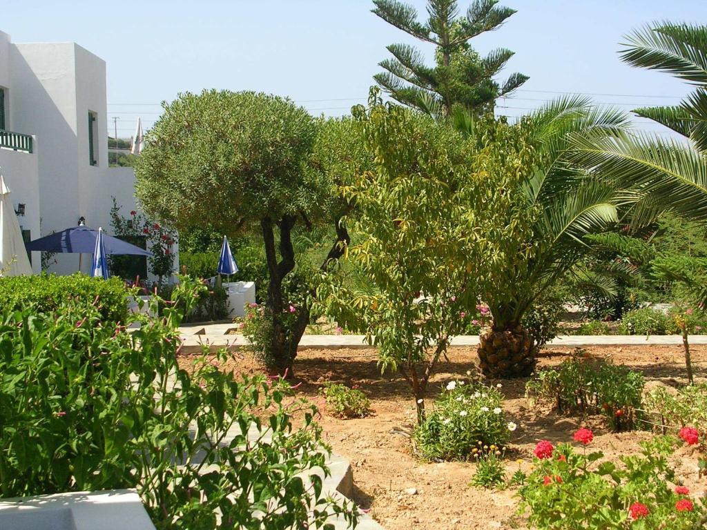 Sirius Apartments Chersonissos Kamer foto